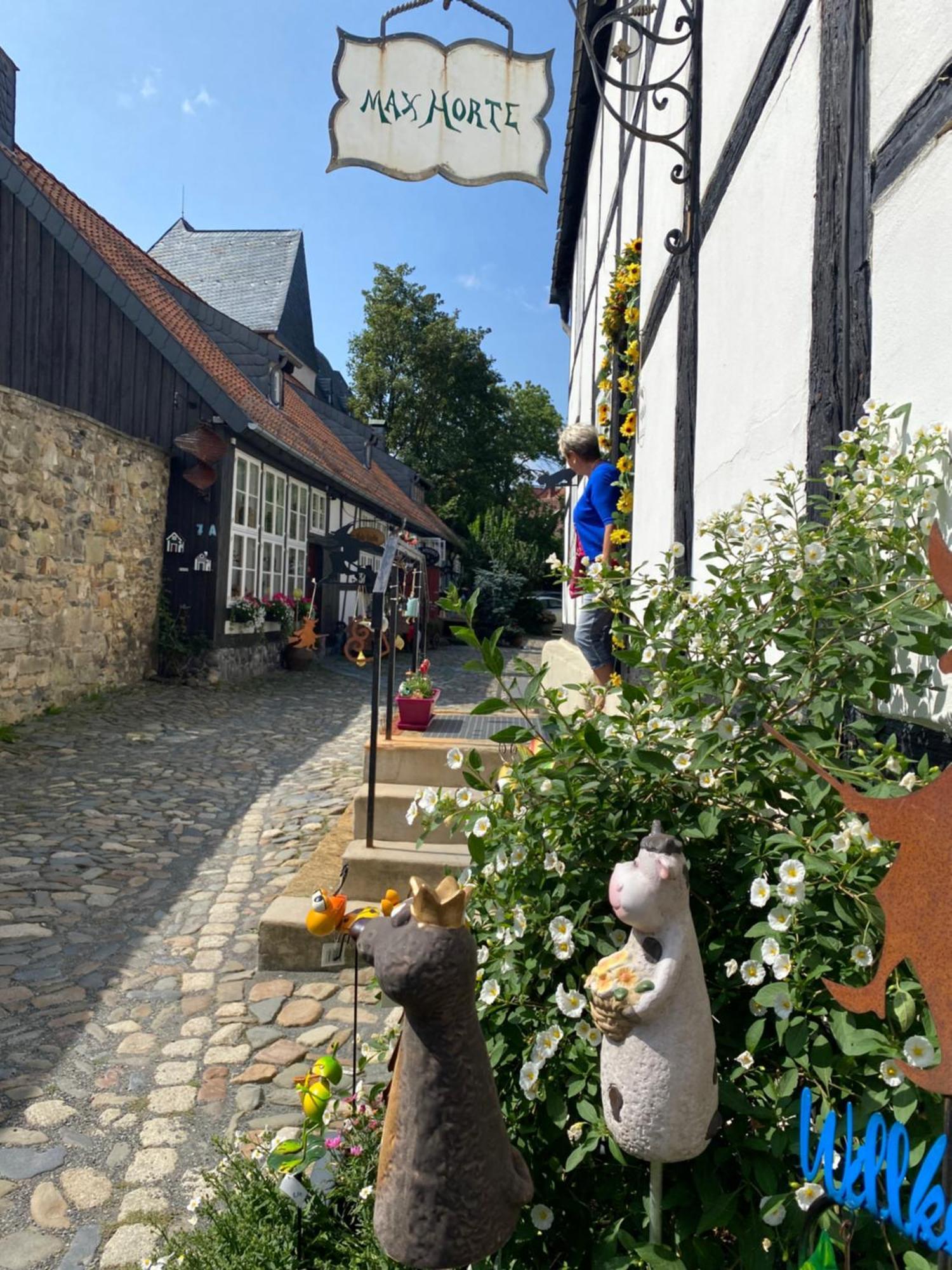 Fewo Georgenberg Goslar Ngoại thất bức ảnh
